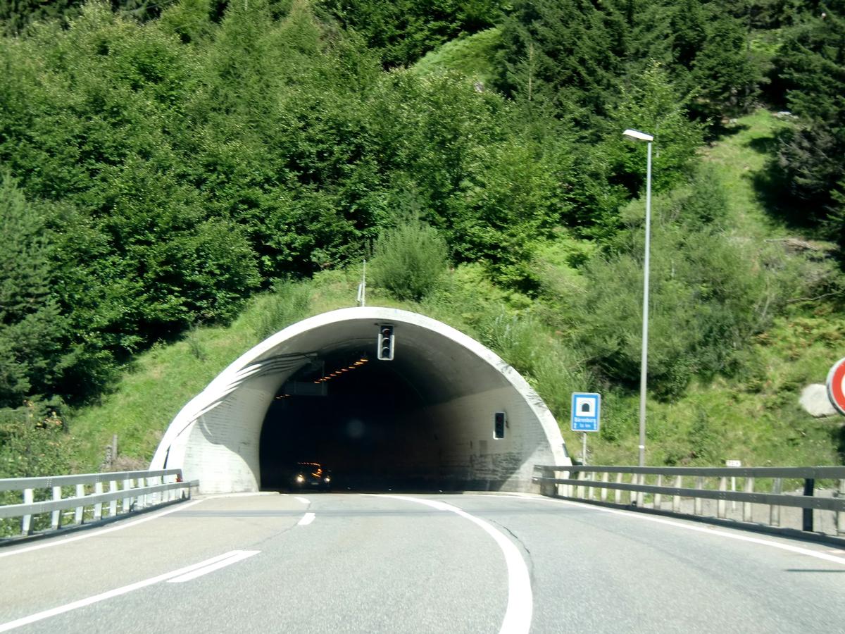 Tunnel Barenburg 