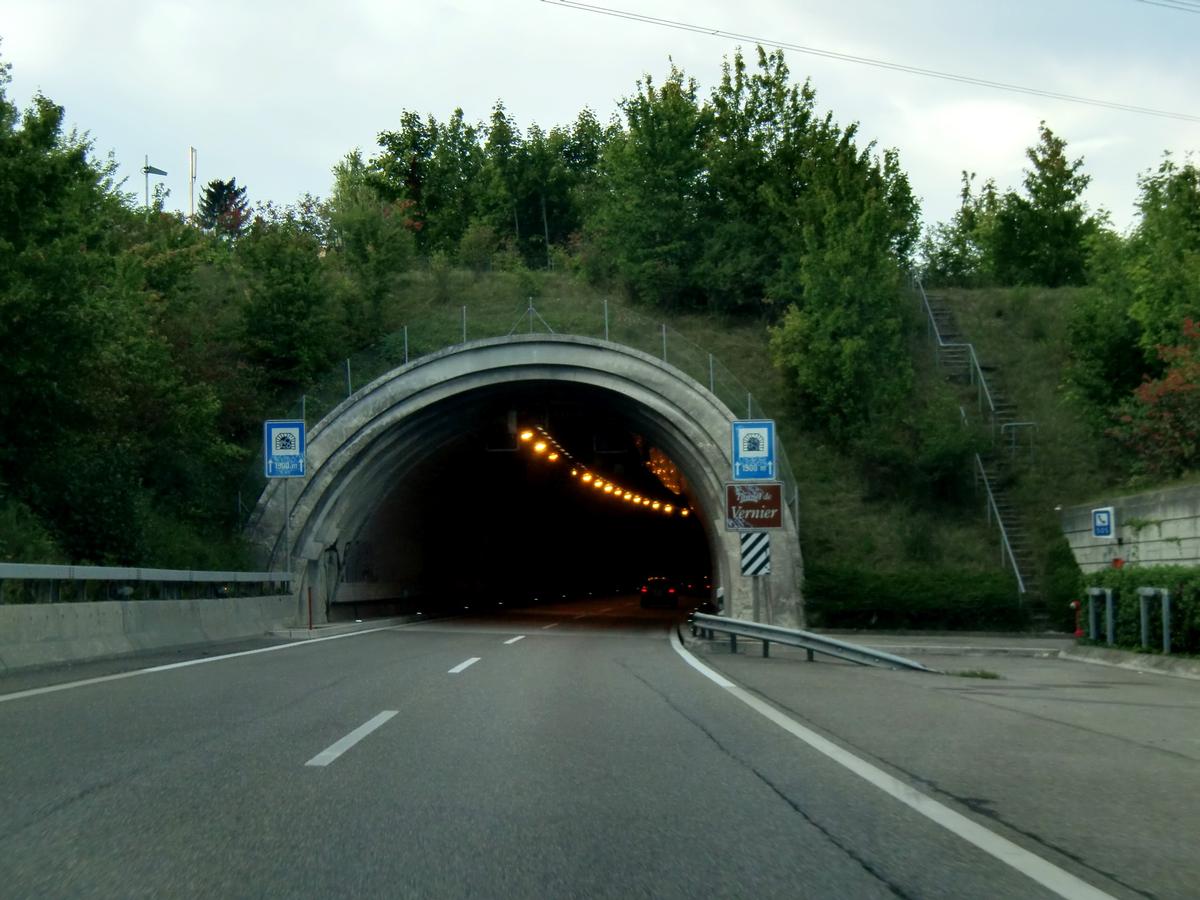 Vernier Tunnel, southern portal 