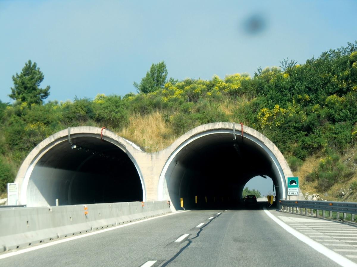 Torrione 1° Tunnel eastern portals 