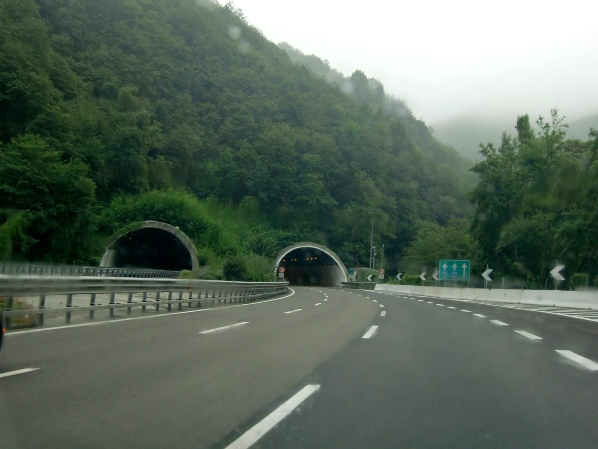 Tunnel de Berté 