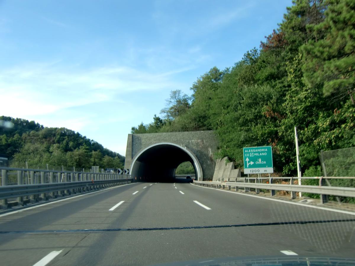 Tunnel Curli 