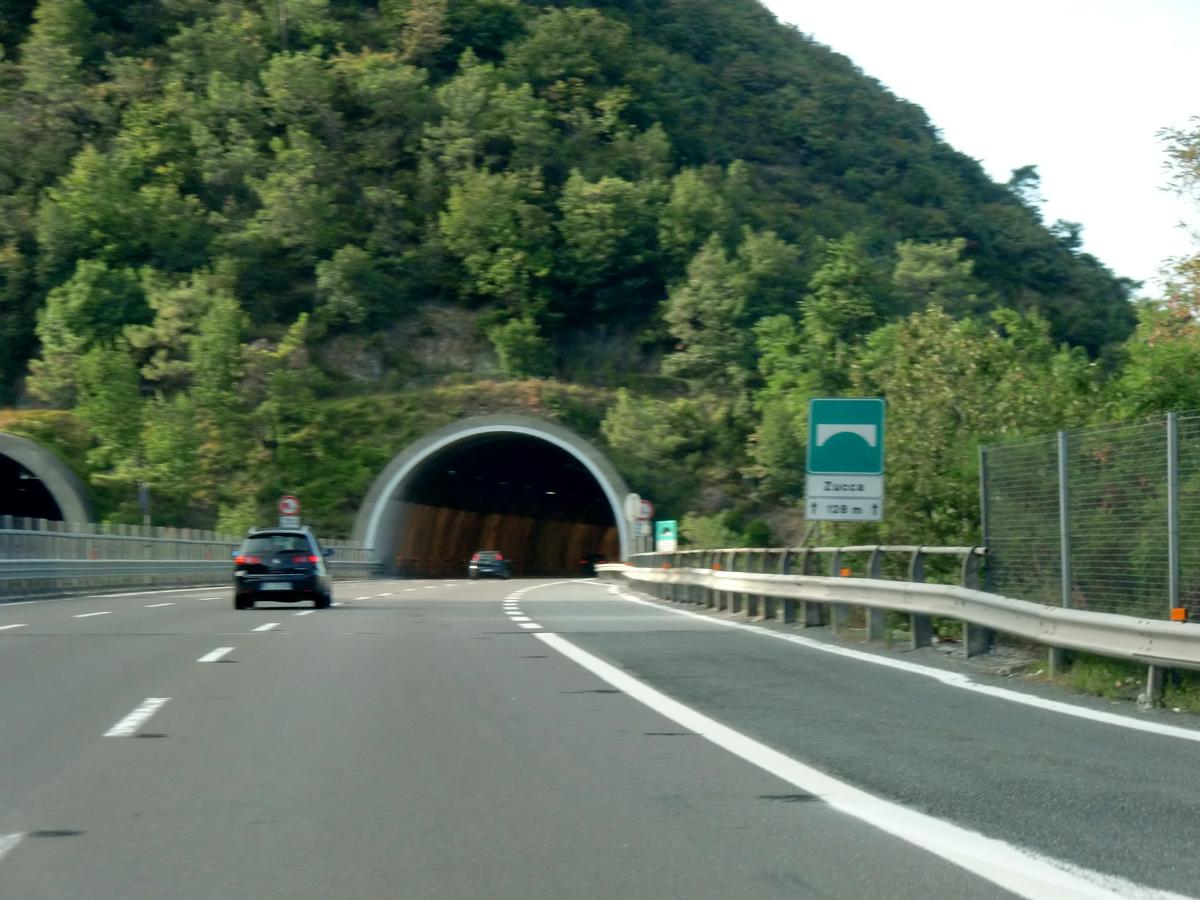 Zucca Viaduct and Poggi Tunnel southern portals 