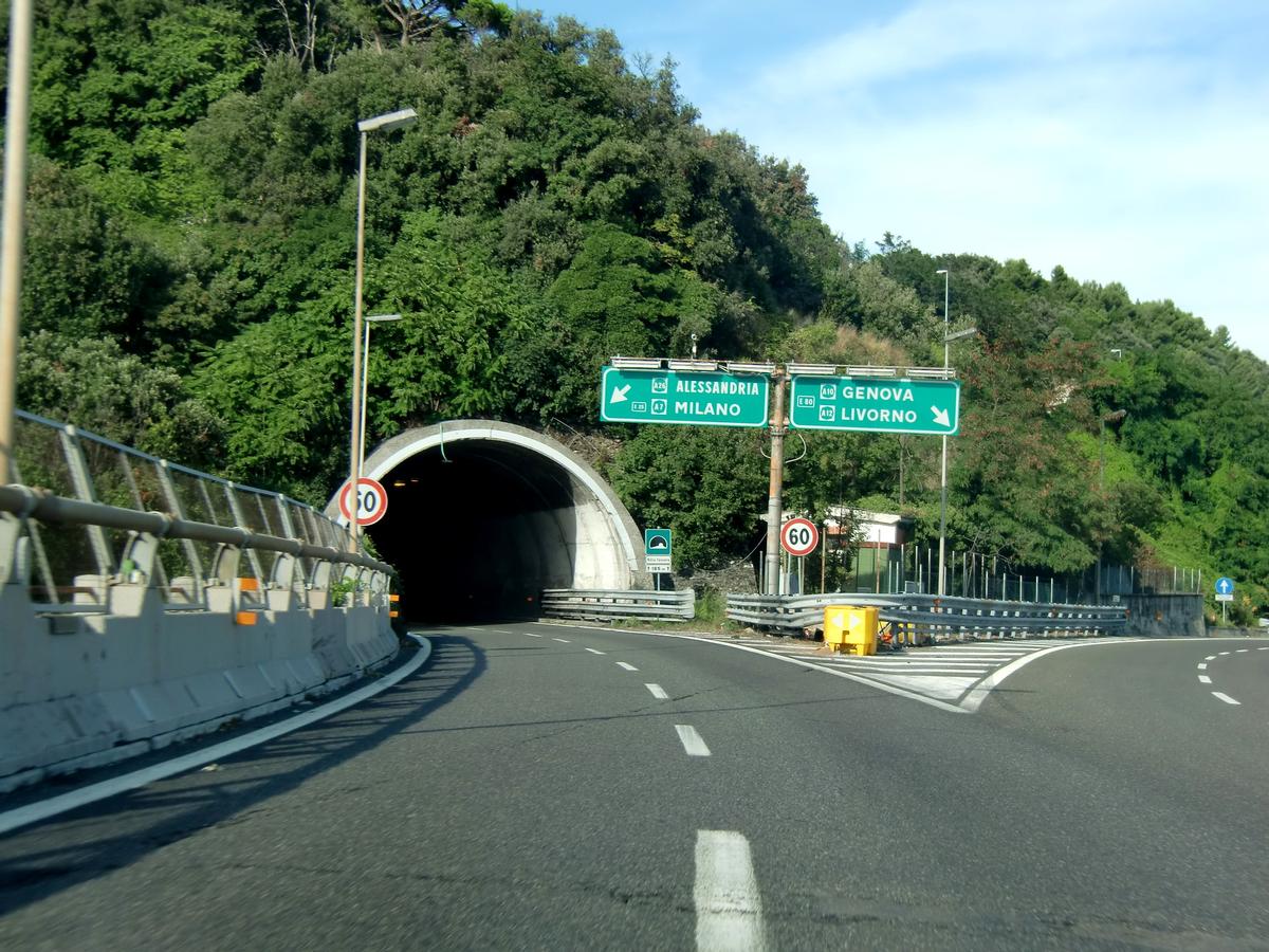 Villa Tassara Tunnel southern portal 