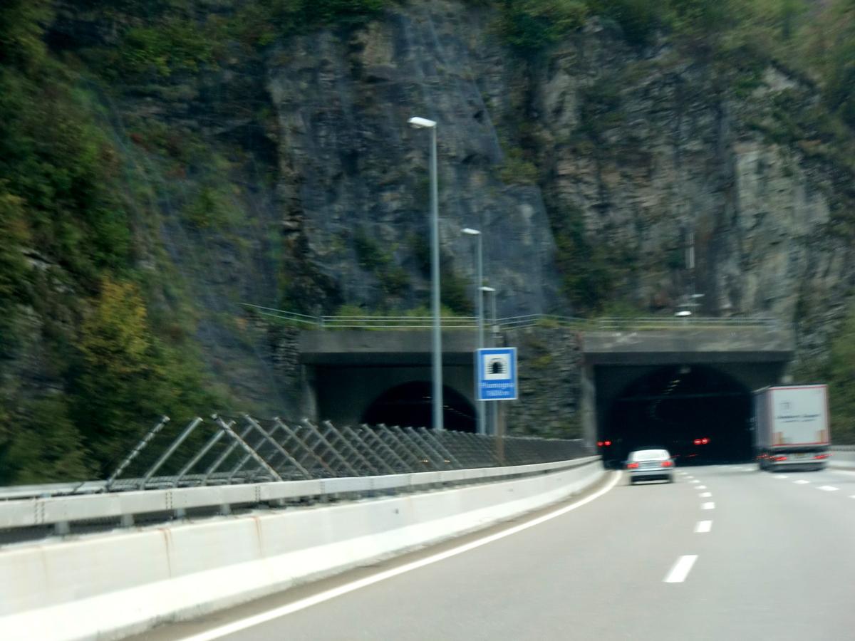Piumogna Tunnel southern portals 
