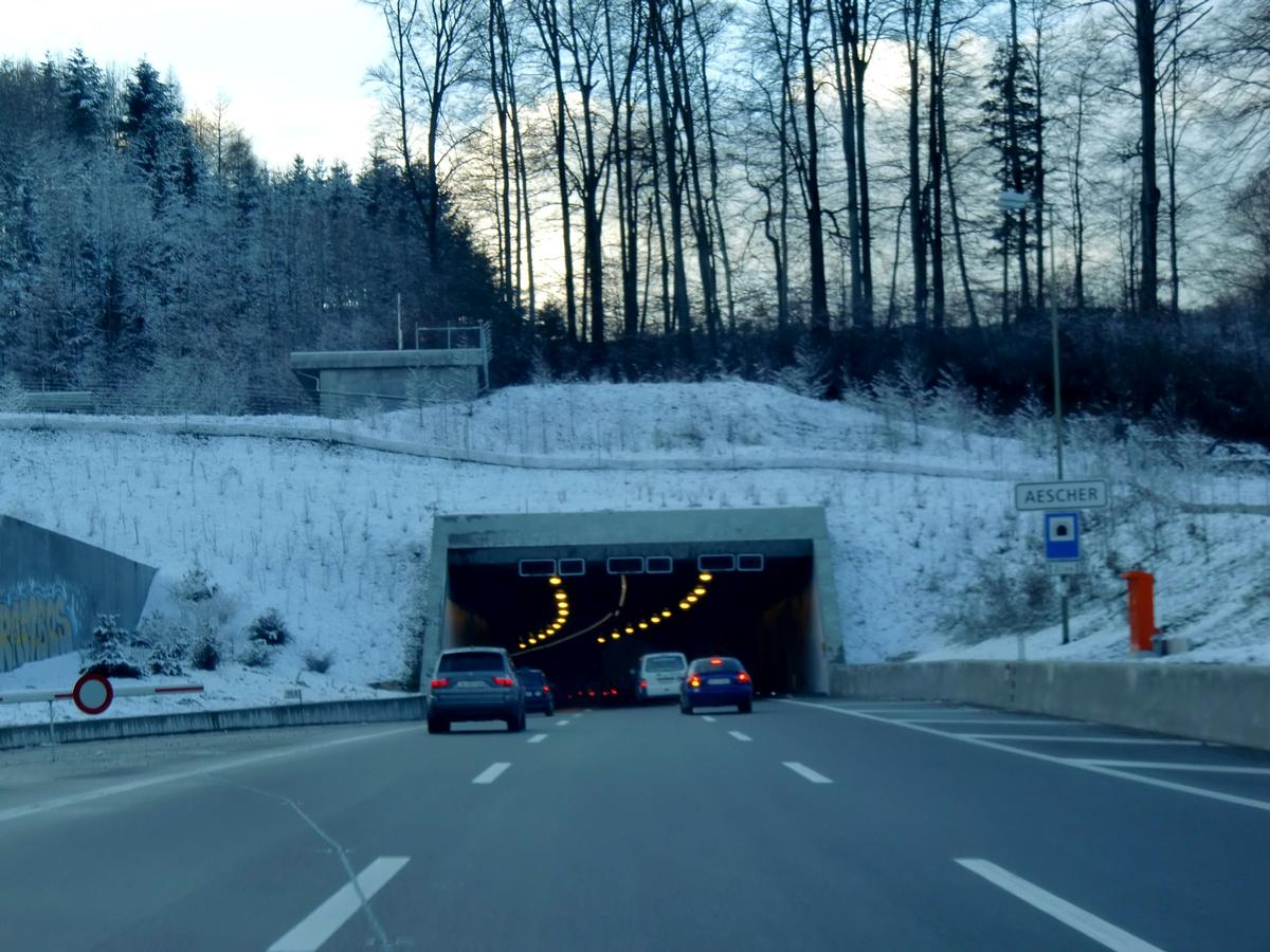 Aescher Tunnel southern portal 