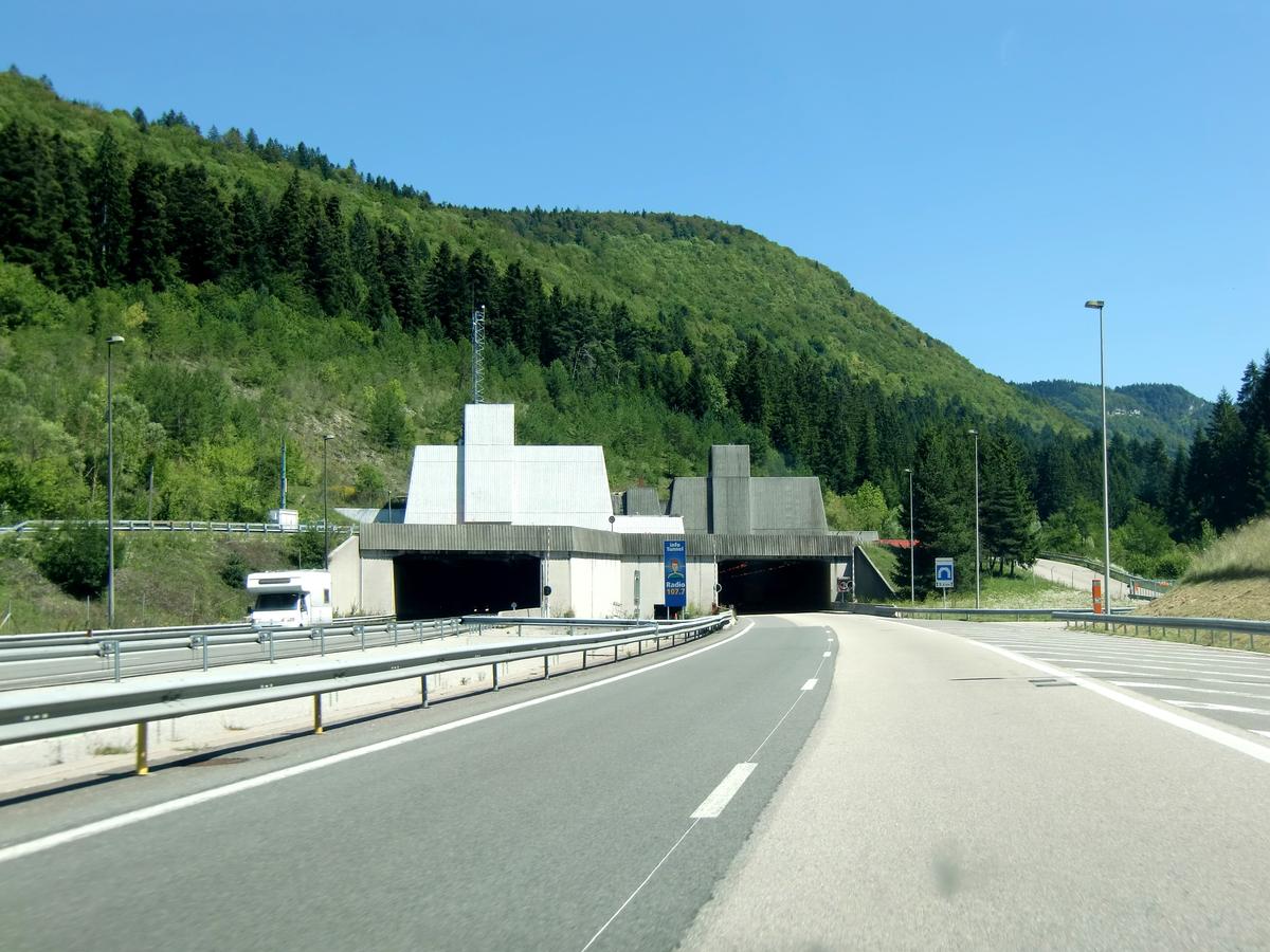 Tunnel de Chamoise 
