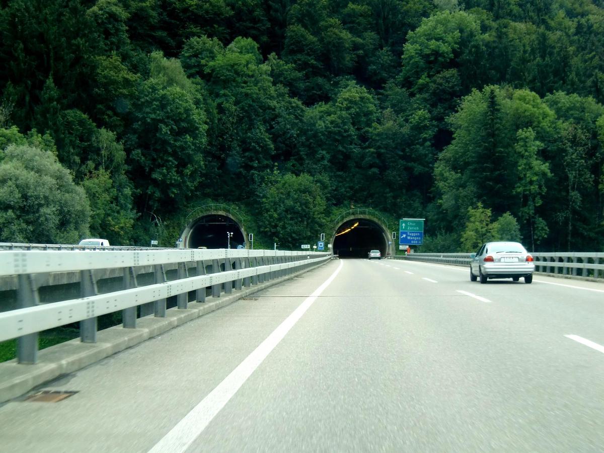 Buechberg Tunnel northern portals 