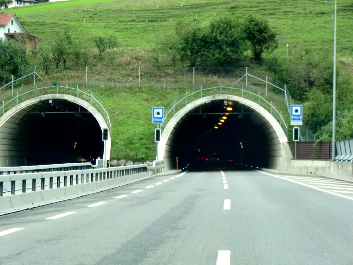 Uznaberg Tunnel southern portals 