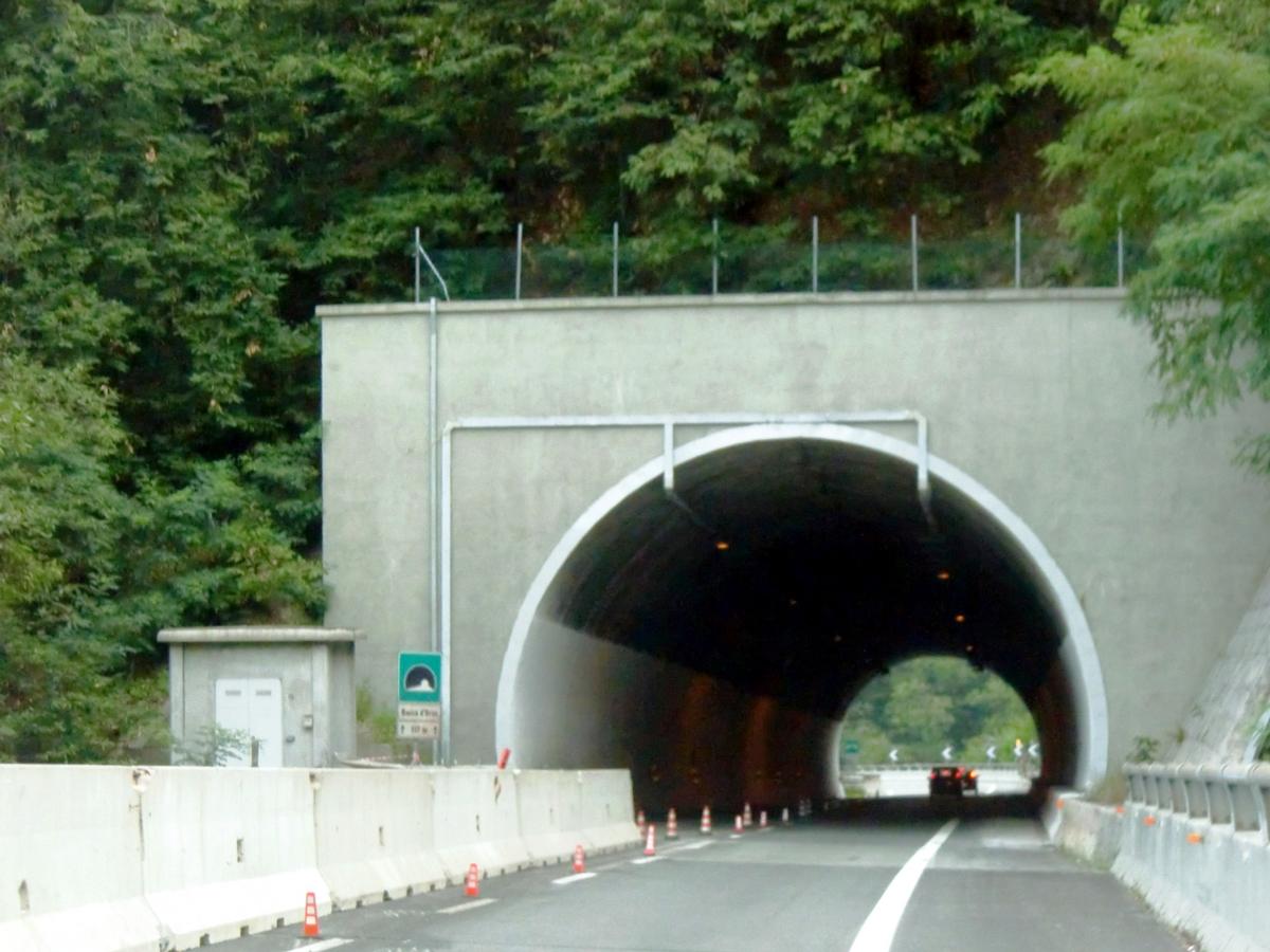 Bocca d'Orso Tunnel, northern portal 