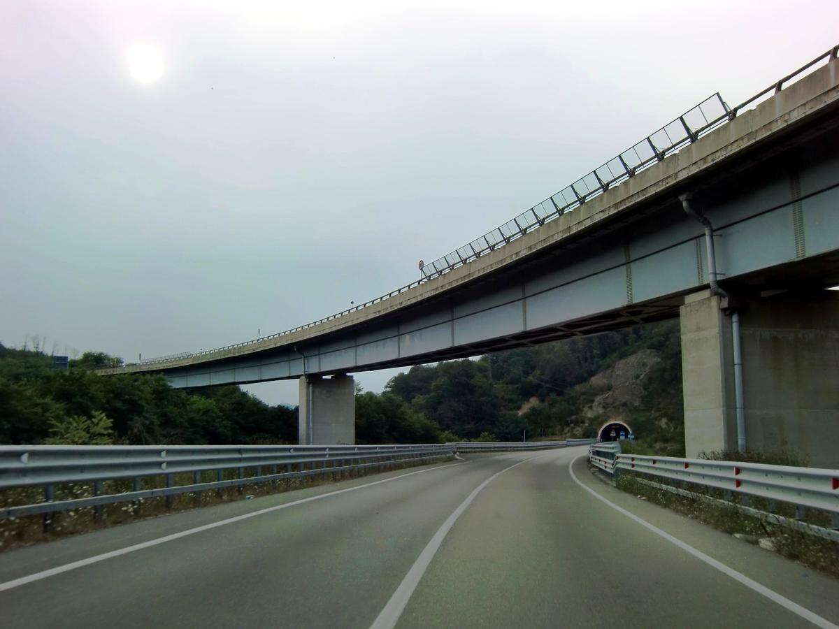 Bormida di Mallare Sud Viaduct from SS29-NSA338. In the background, Vispa Tunnel southern portal 