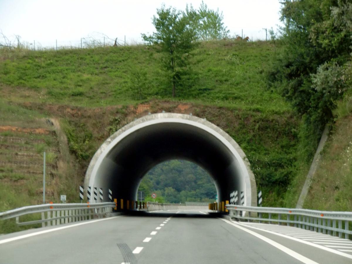 Casa Rosa Tunnel, northern portal 