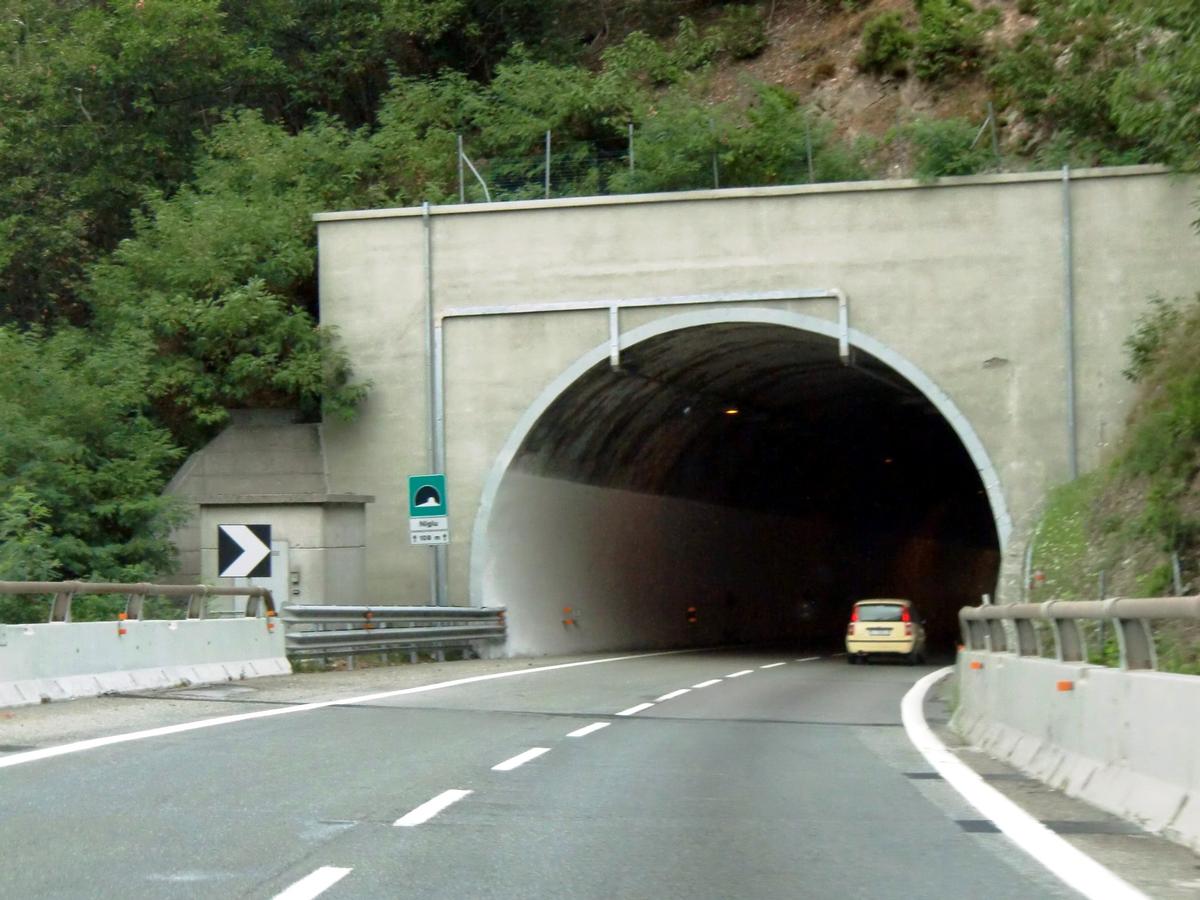 Tunnel Niju 