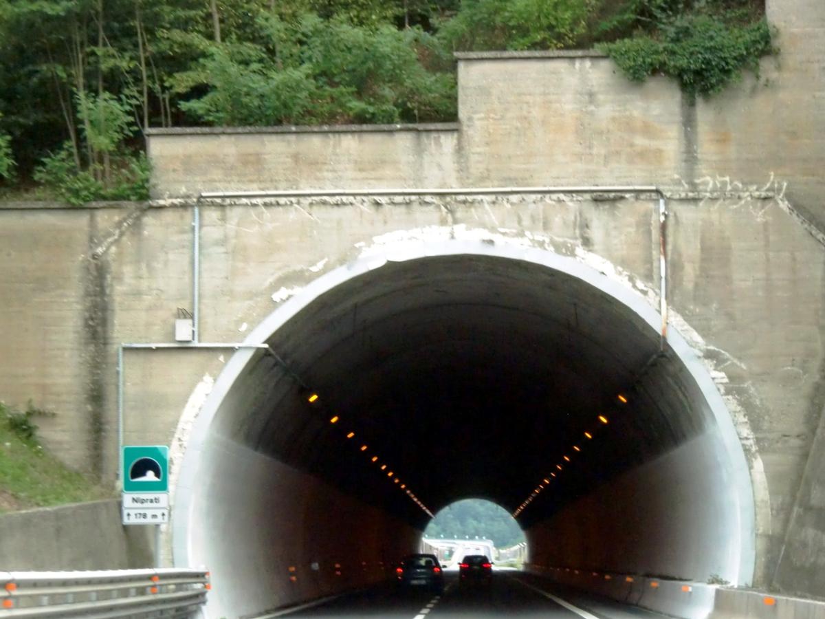 Niprati Tunnel northern portal 