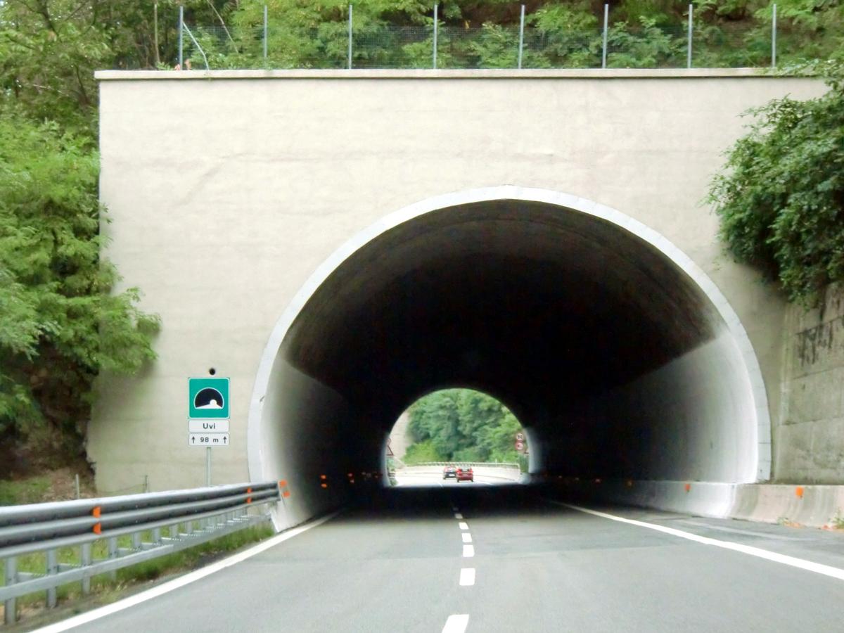 Uvi Tunnel northern portal 