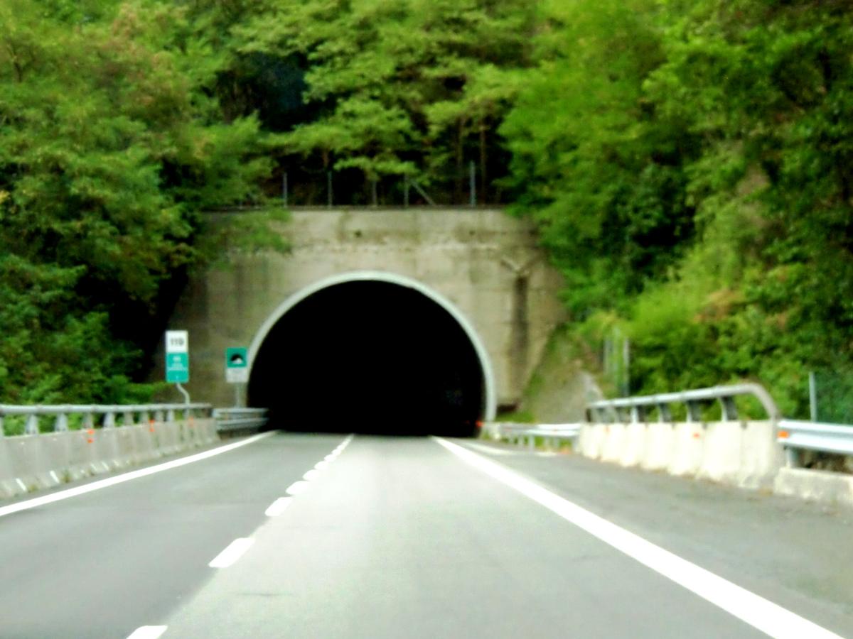 Vapea Tunnel northern portal 