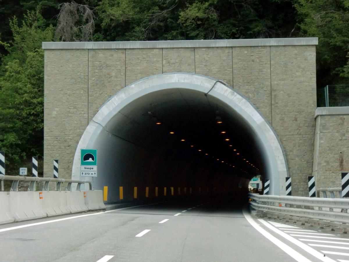 Vespe Tunnel southern portal 