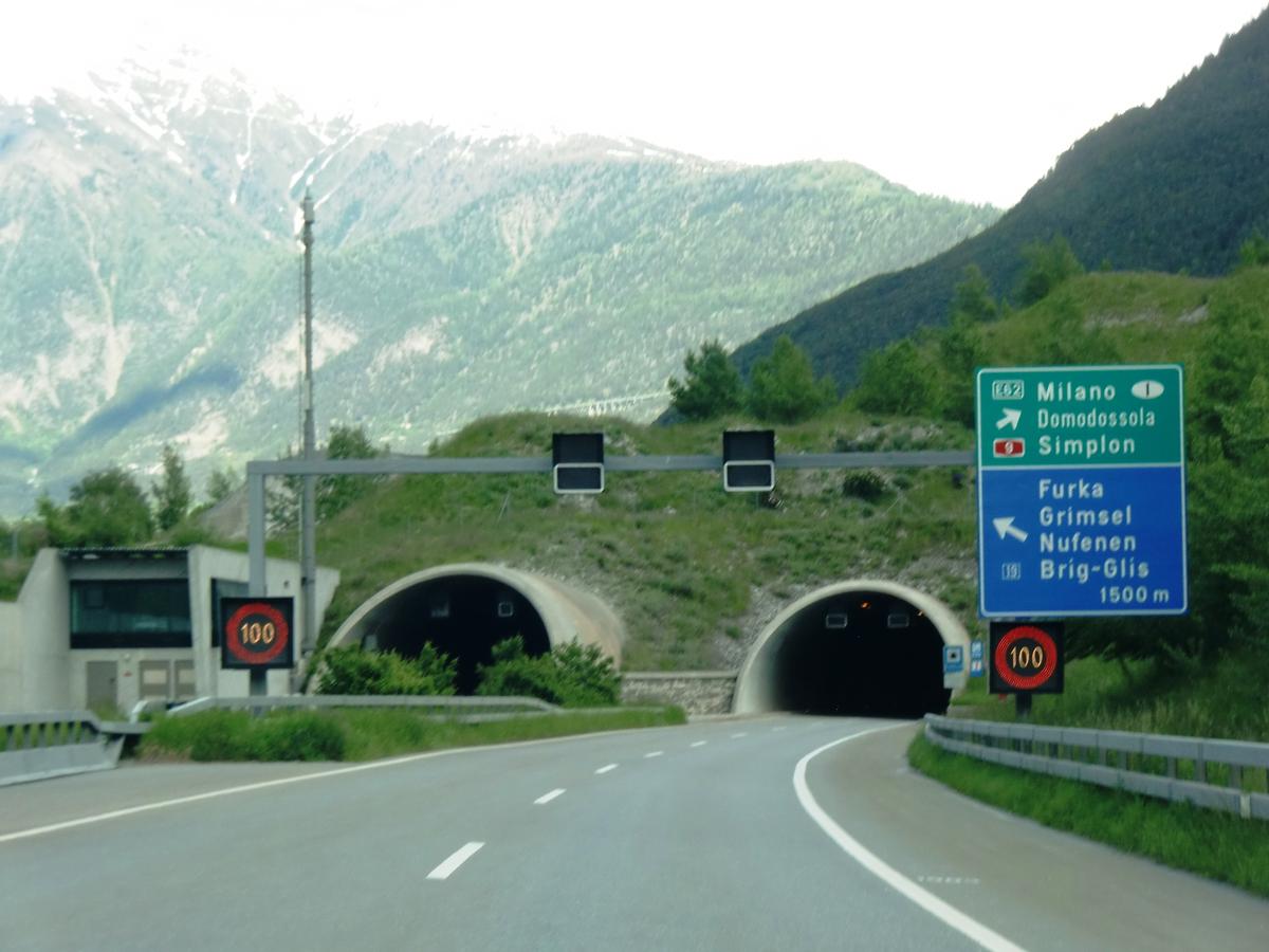 Gamsen Tunnel western portals 