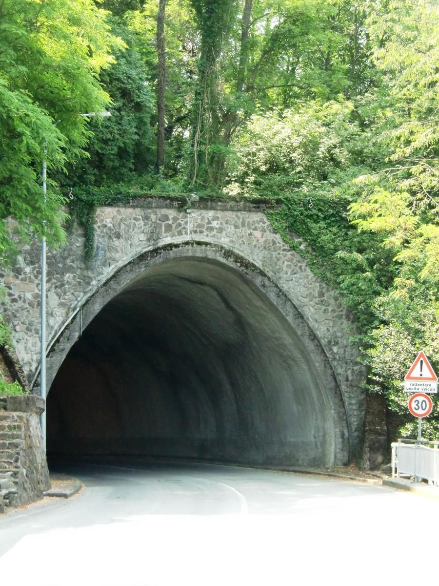 Posero Tunnel, northern portal 