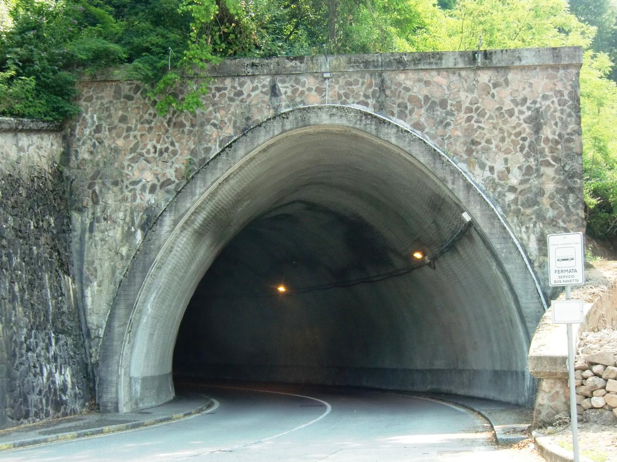 Posero Tunnel, southern portal 