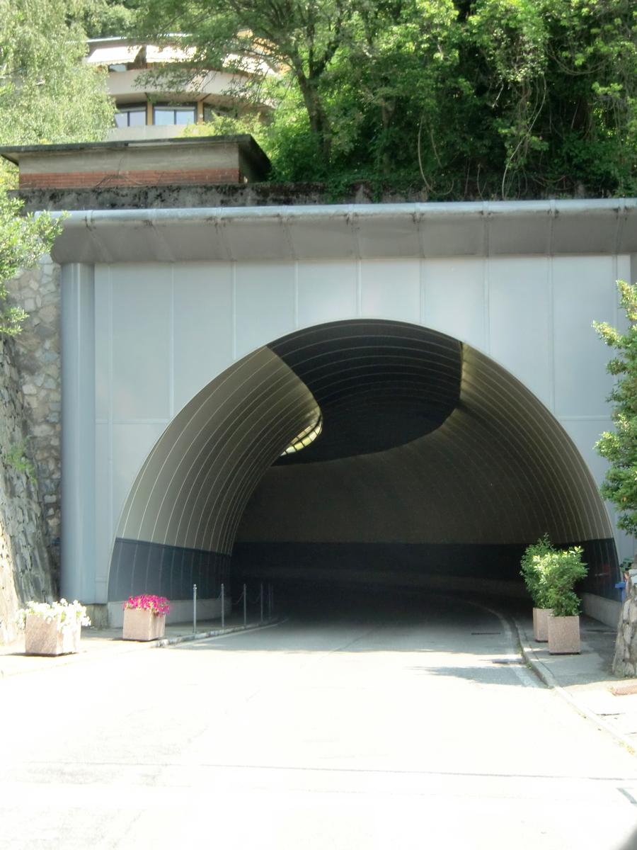 Totone 1 Tunnel northern portal 