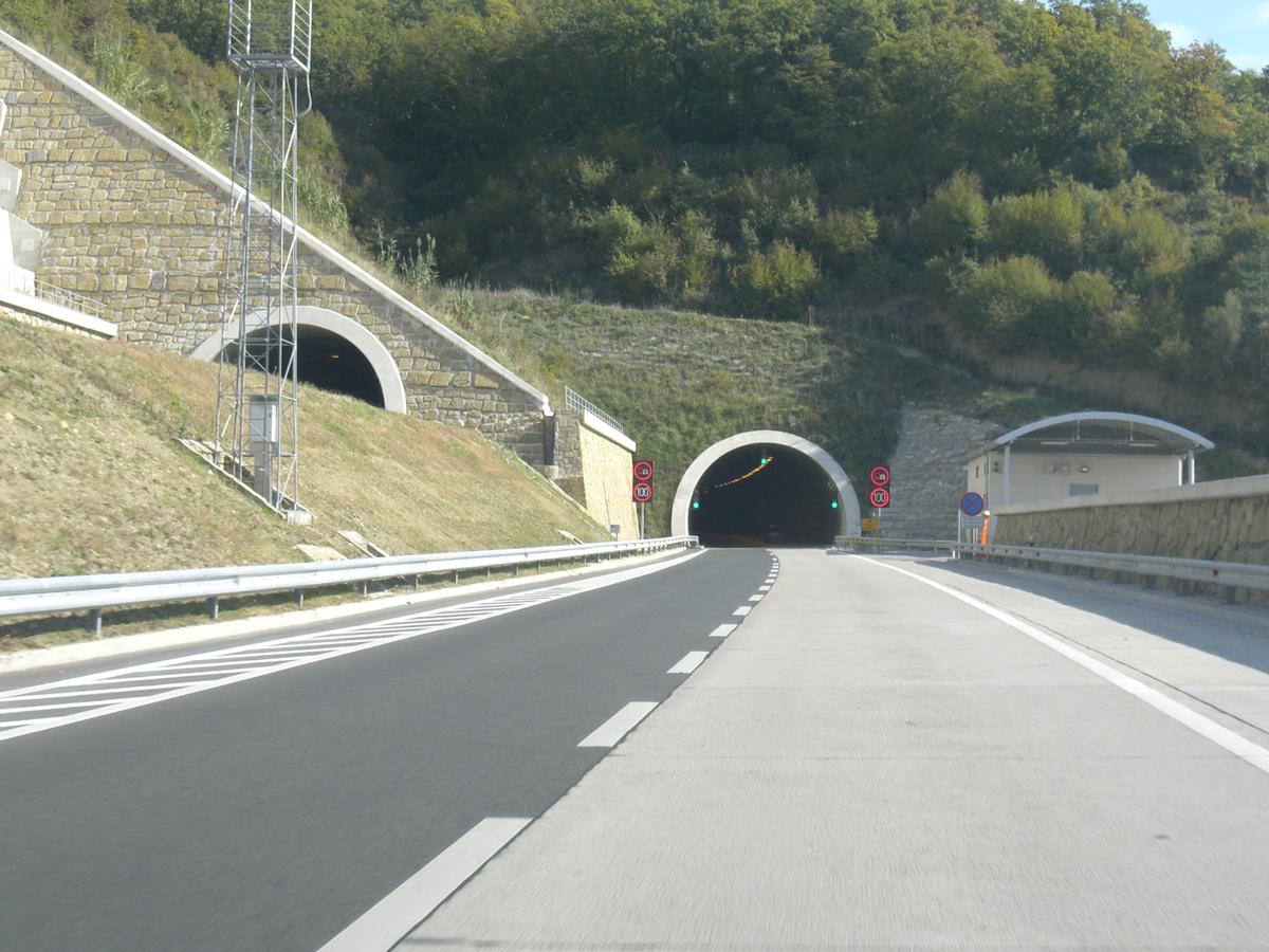 Dekani tunnel western portals 