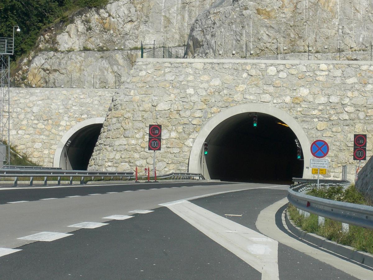 Kastelec tunnel, western portals 