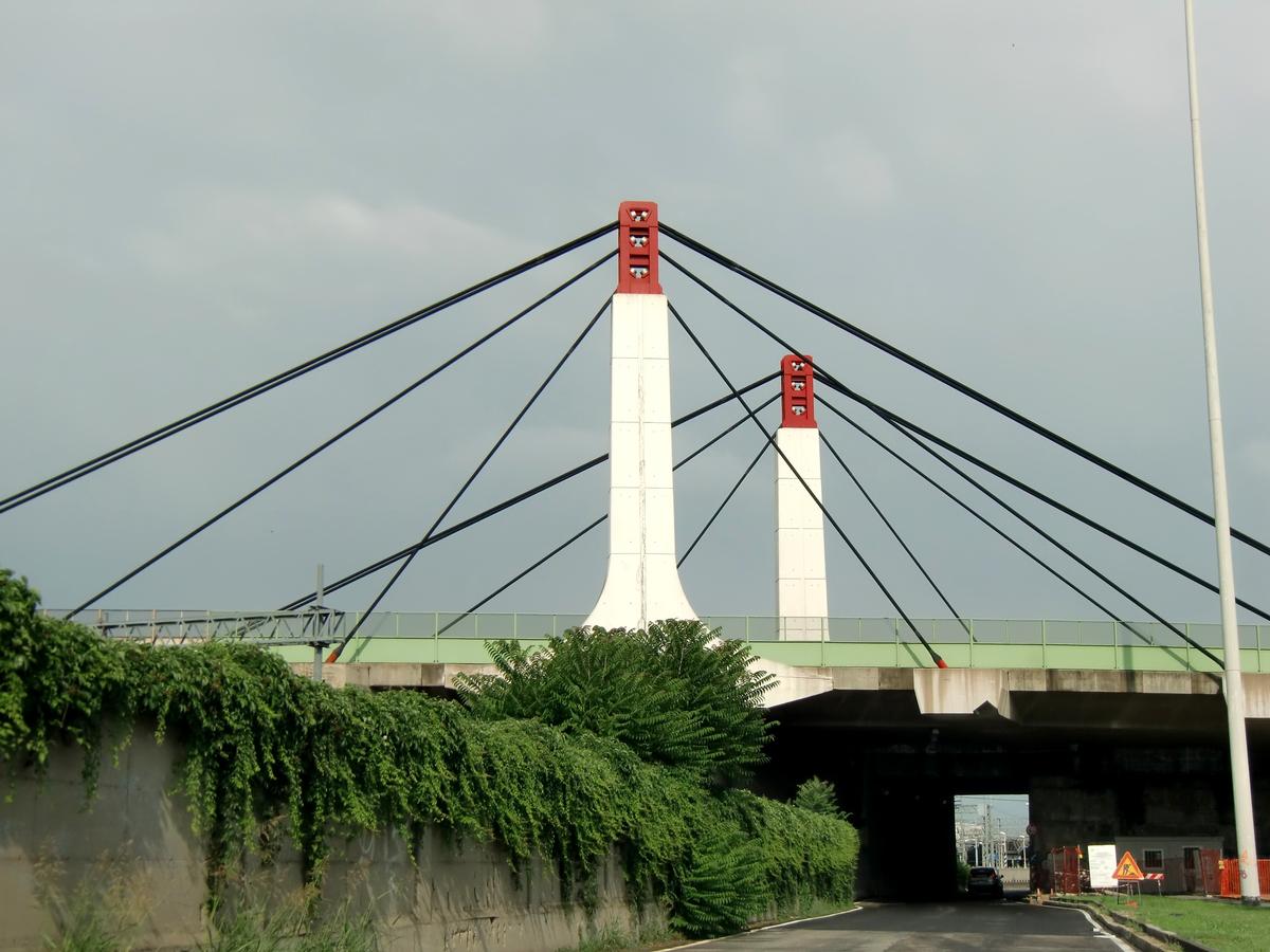 Certosa Cable Stayed Bridge from Via Triboniano 