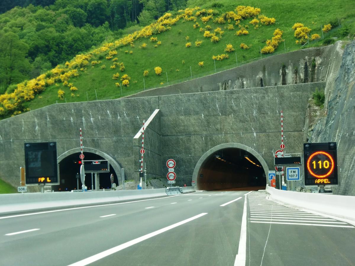 Tunnel Violay 