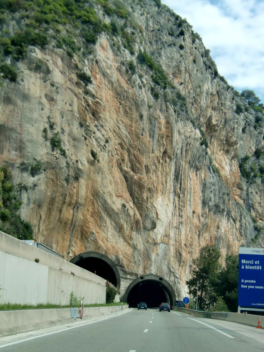 Tunnel de la Giraude, french portals 