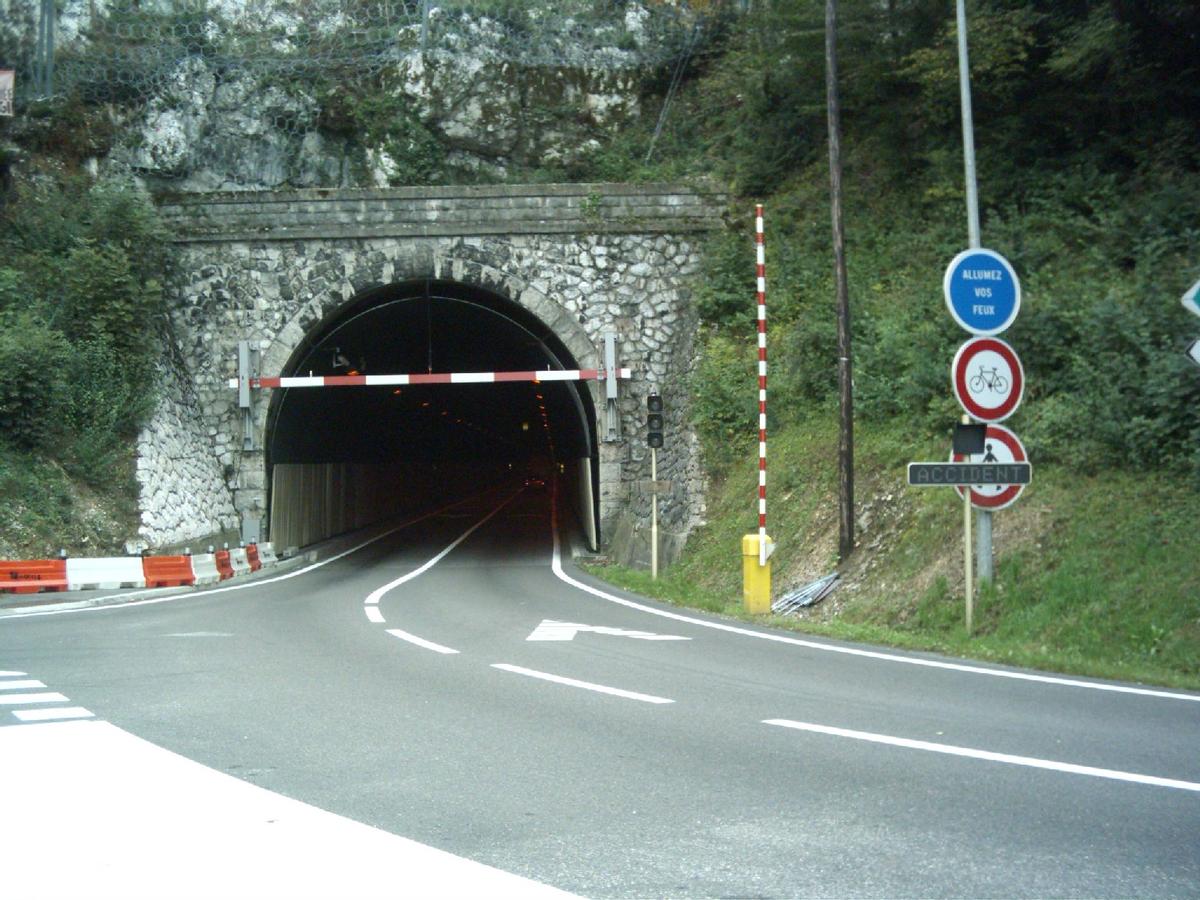 Tunnel du Chat, western portal 