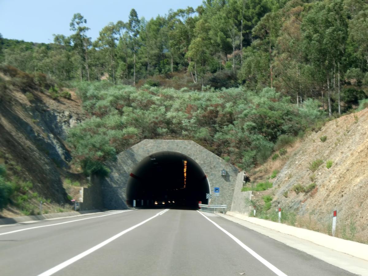 Tunnel Pitzu Agus 
