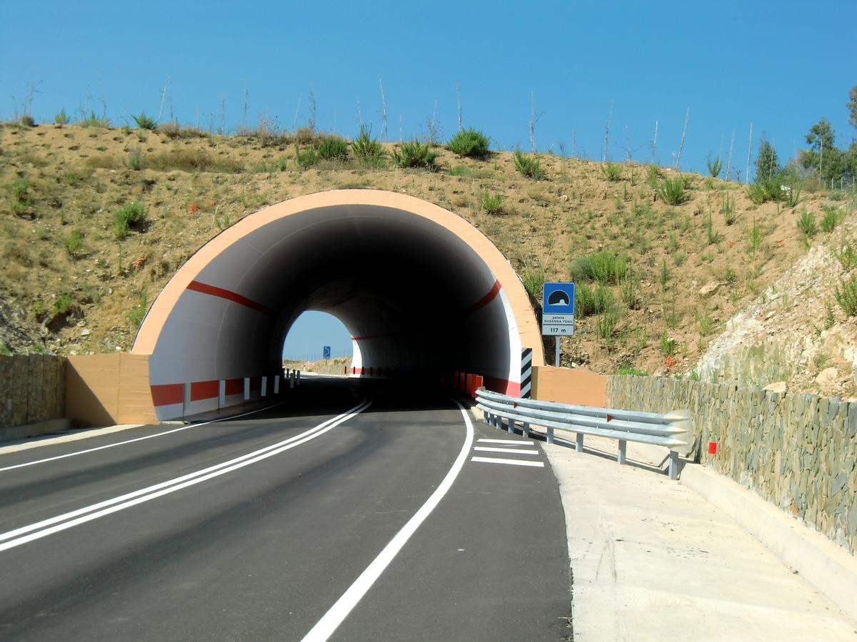 Susanna Fenu Tunnel 