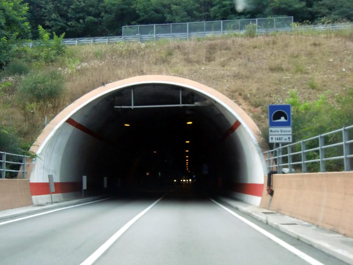 Monte Grosso Tunnel, southern portal 