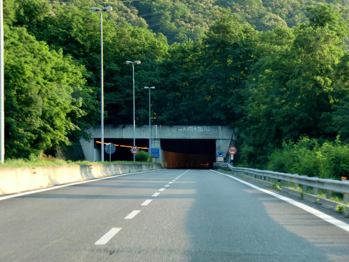 Curcio Tunnel northern portals 