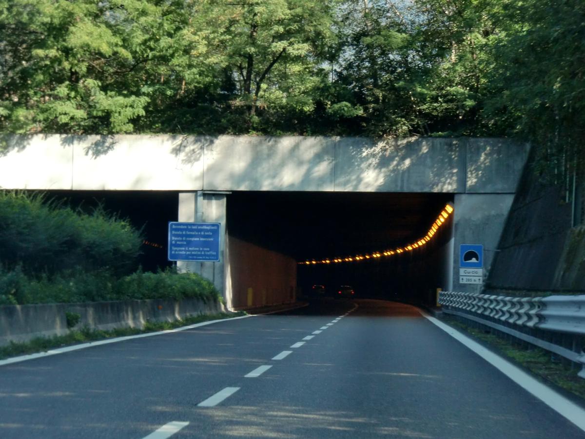 Curcio Tunnel southern portal 