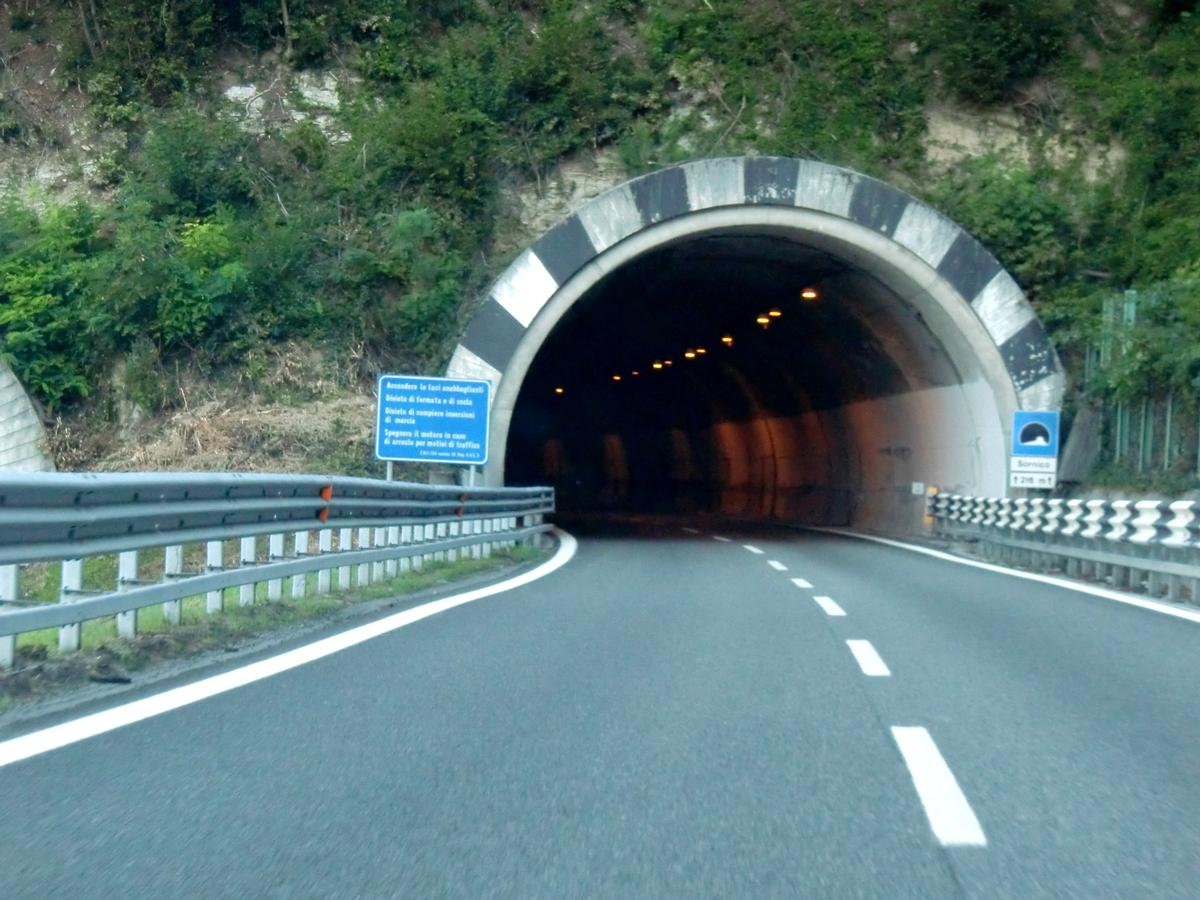 Tunnel Sornico 