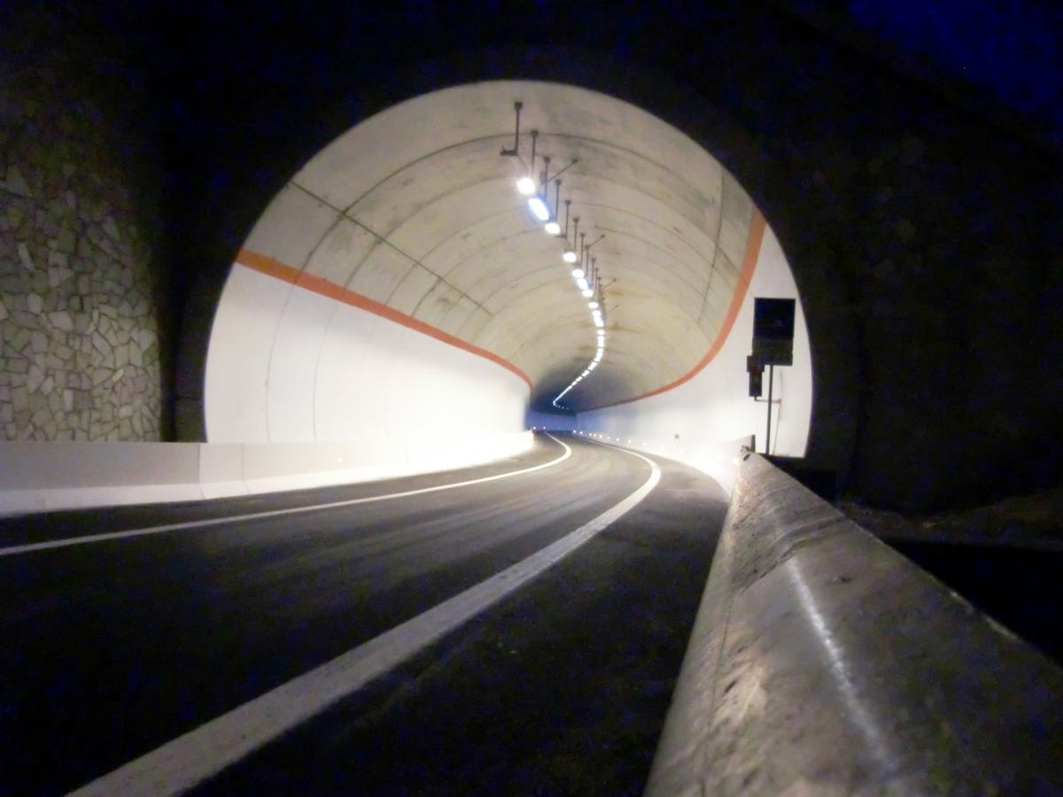 Demo Tunnel, northern portal 