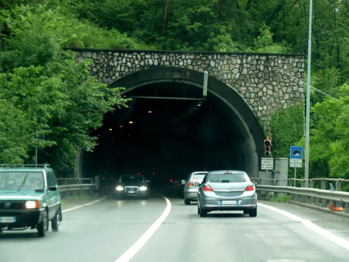 Minerva Tunnel, northern portal 