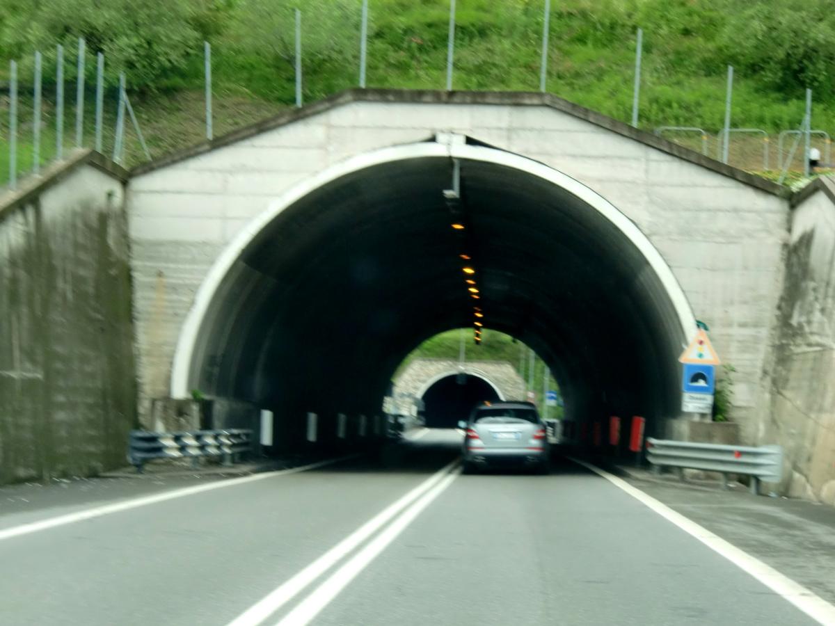 Dosso Tunnel southern portal; on the background Massenzano southern portal 