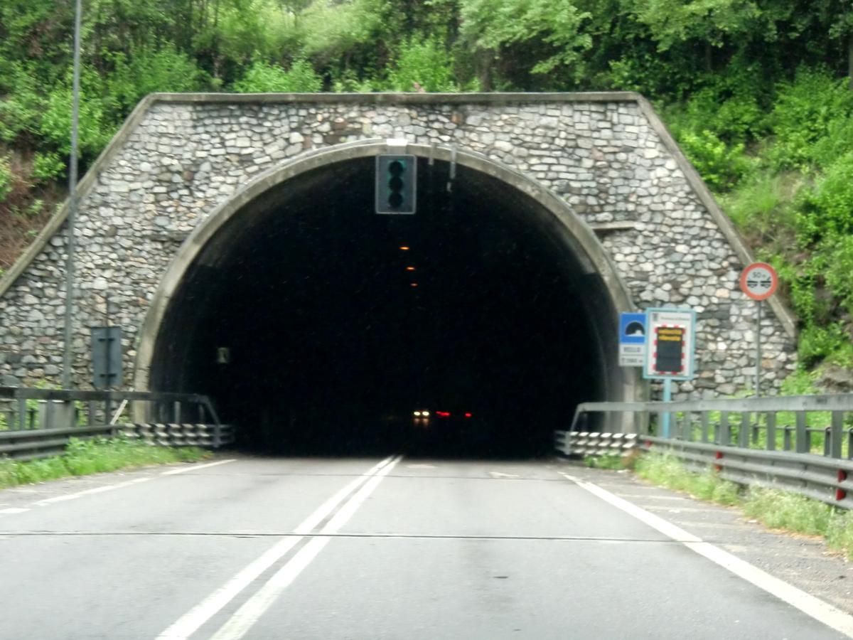 Vello Tunnel, southern portal 