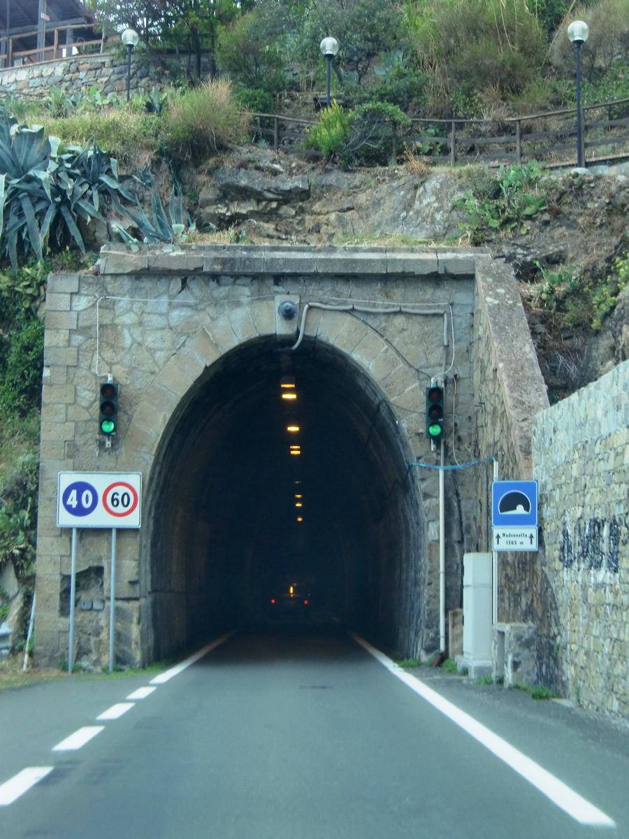 Madonnetta Tunnel eastern portal 