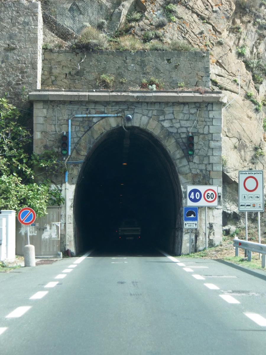 Vallegrande Tunnel western portal 