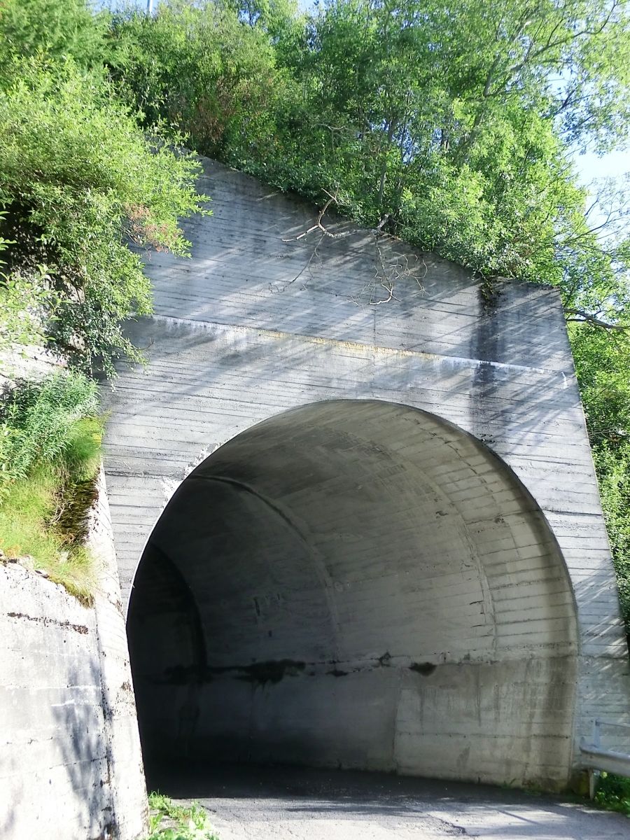 Monte Colmo III Tunnel northern portal 