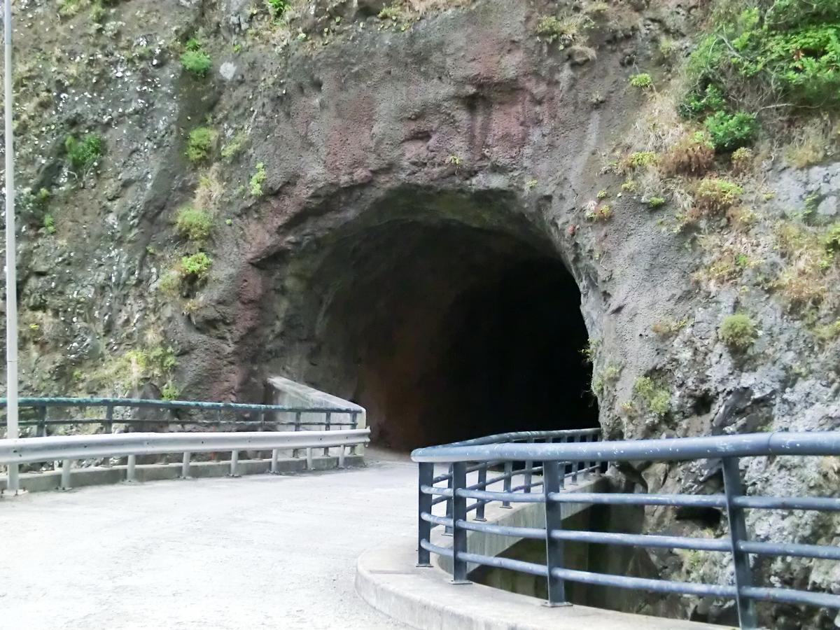 Ribeira Funda 1 Tunnel western portal 