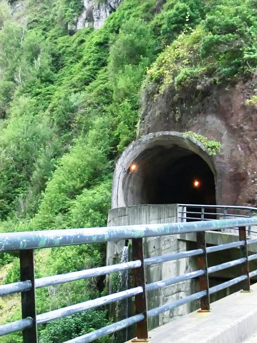 Tunnel de Ribeira Funda 2 