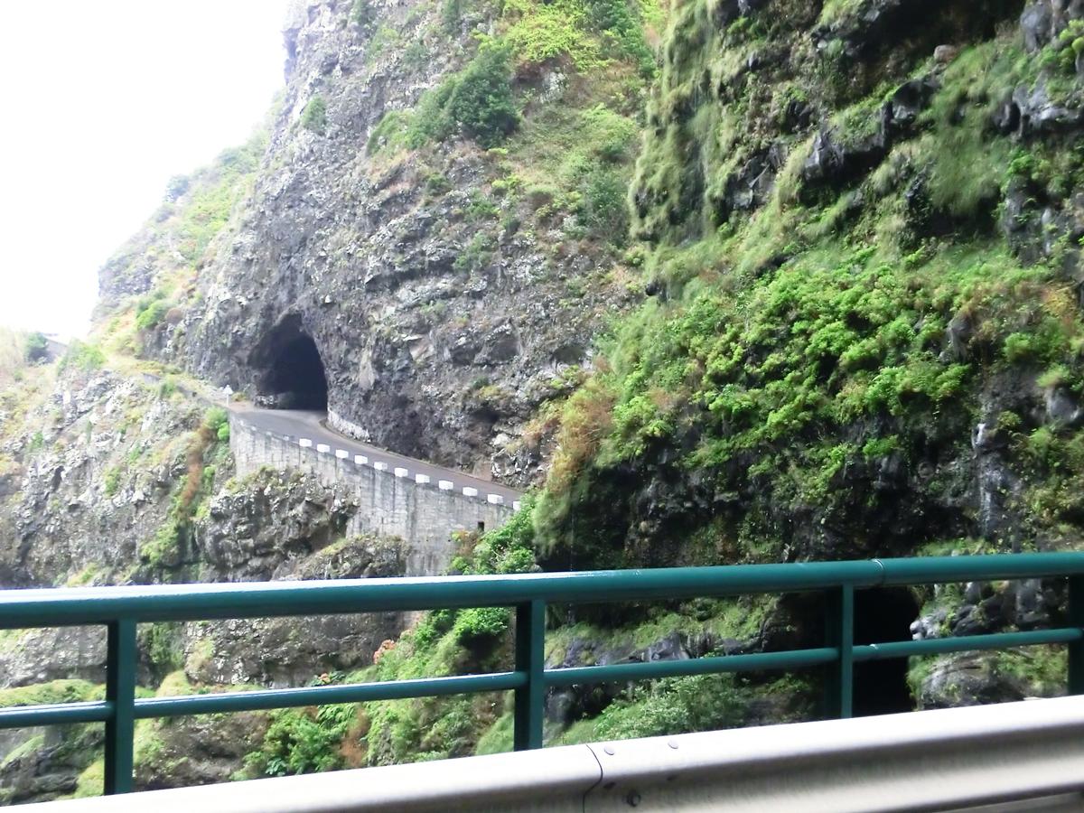 Old ER101 Agua d'Alto Tunnel and Ribeira do Inferno Tunnel (on the right) western portals 