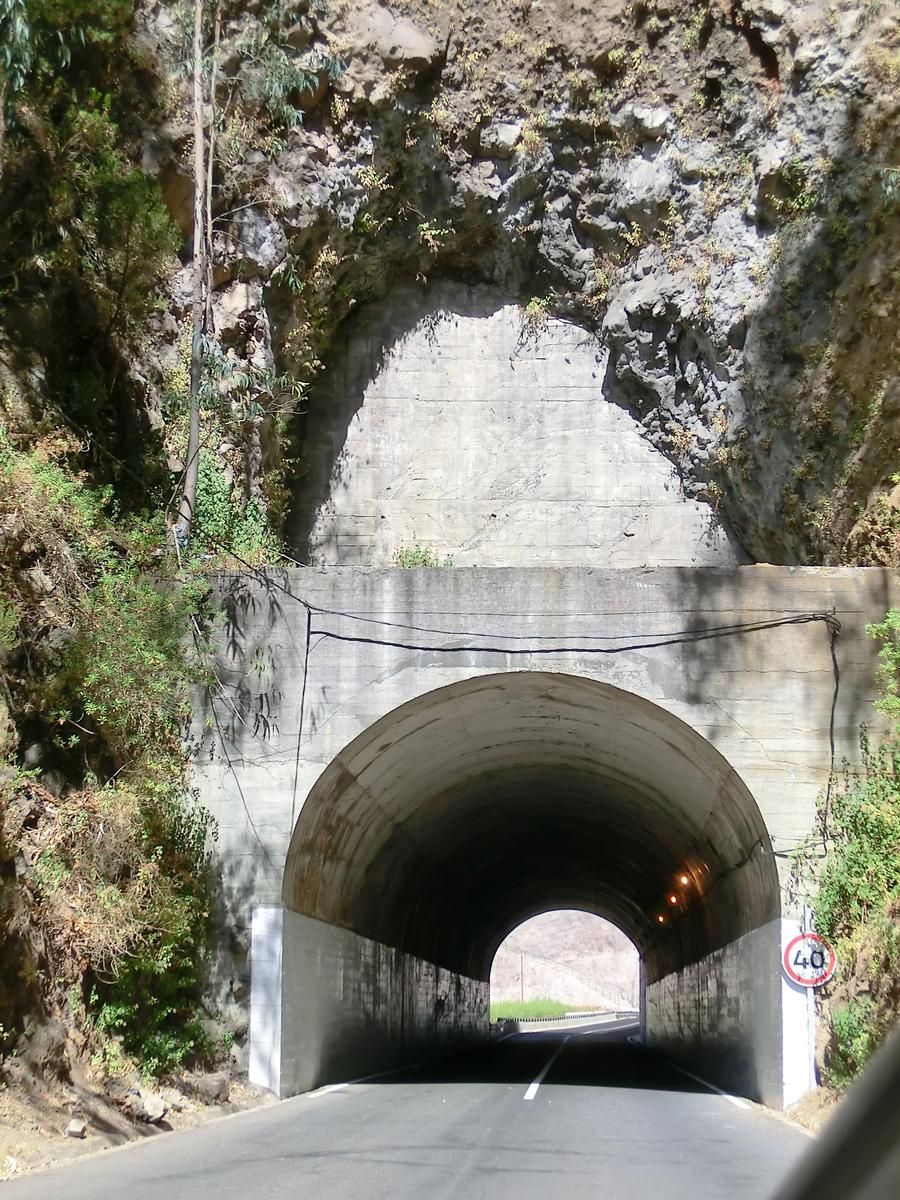 Ribeira do Cidrão II Tunnel southern portal 