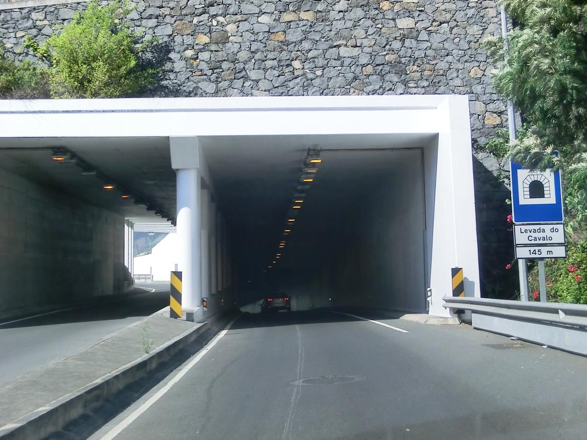 Tunnel de Levada do Cavalo 