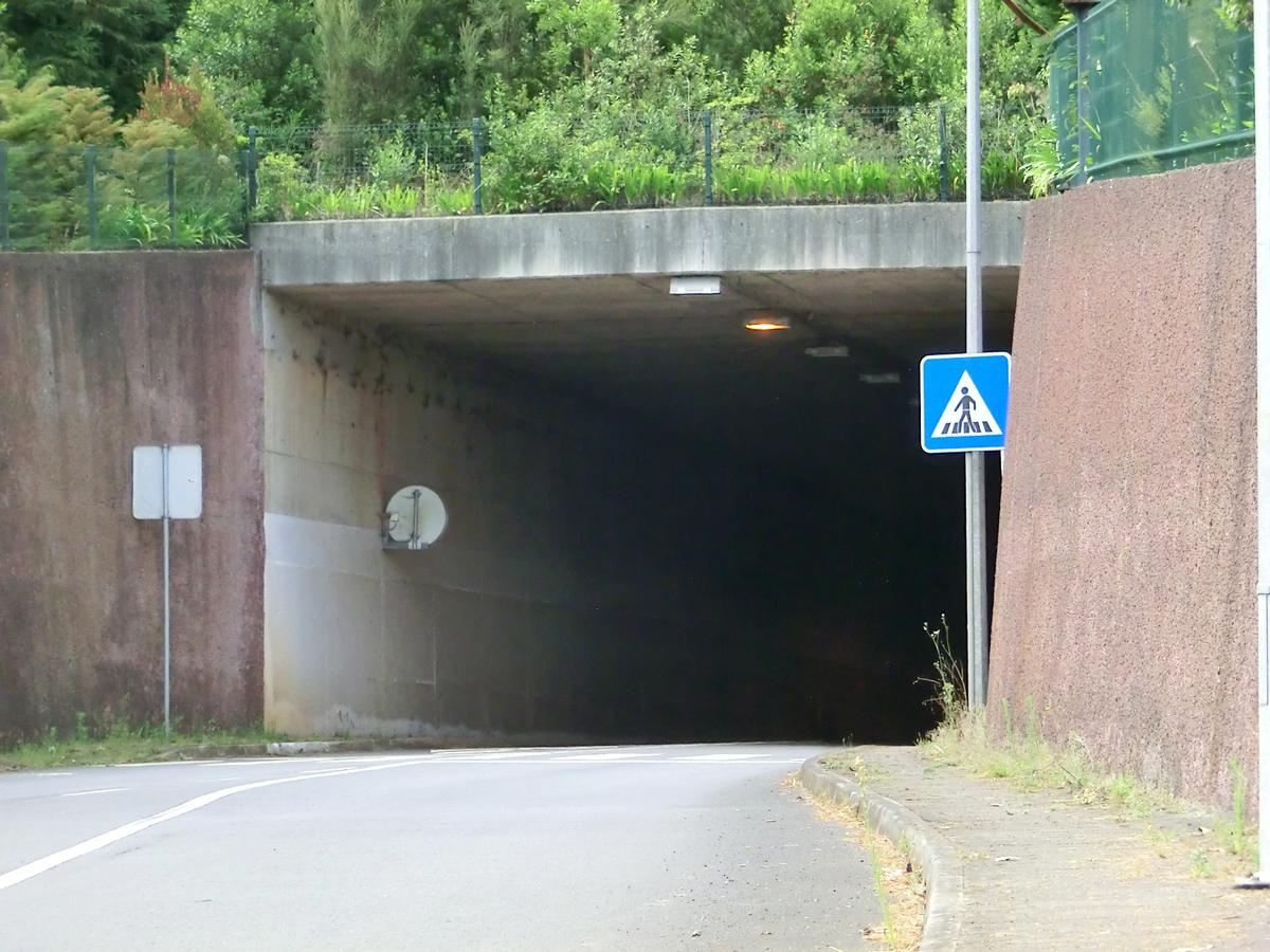 Santo da Serra Tunnel southern portal 