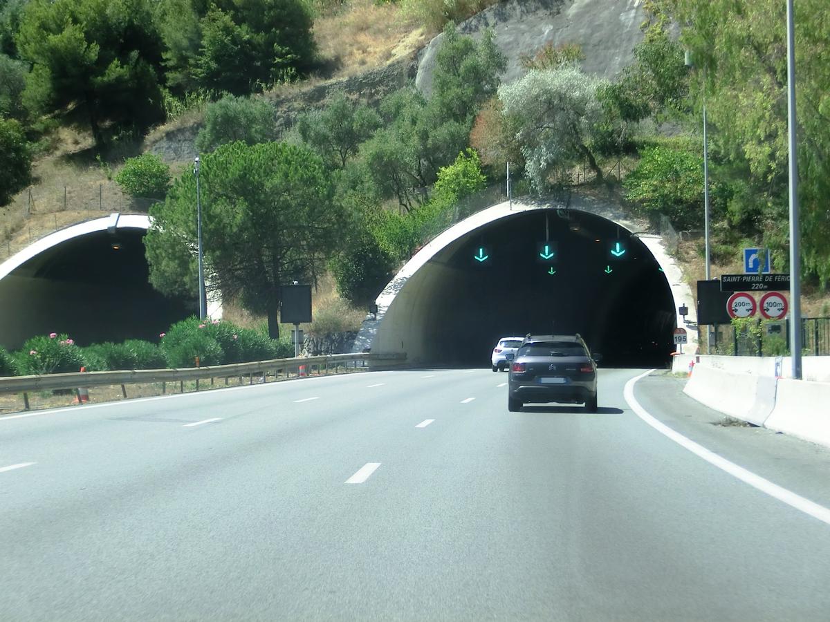 Saint-Pierre-de-Féric Tunnel eastern portals 
